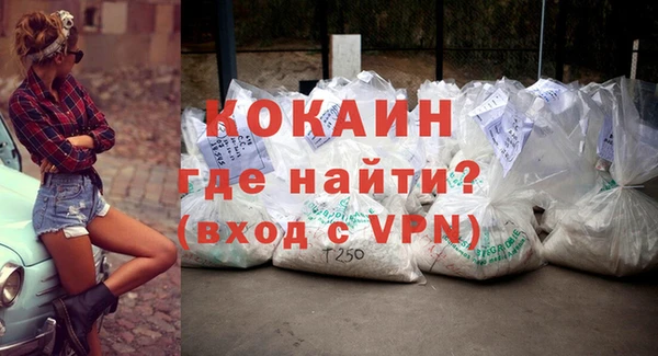 твердый Ладушкин