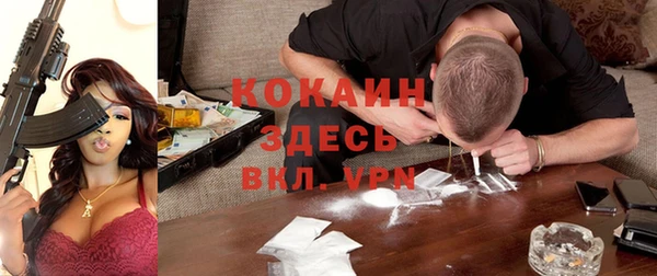 винт Липки